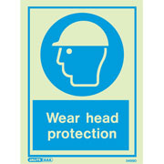 Wear Head Protection 5499